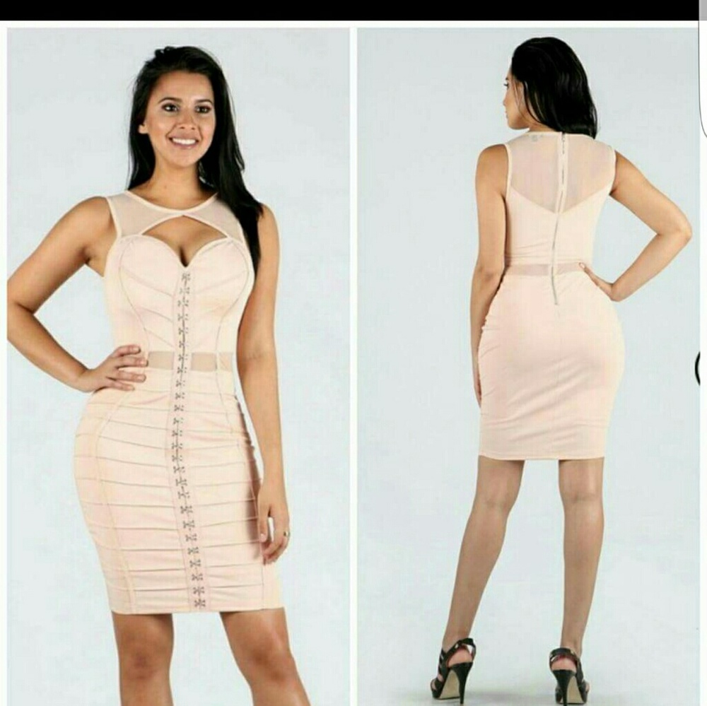 Nude Pink sheer sleeveless bodycon dress