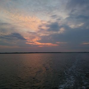 Meet your Posher, Jay