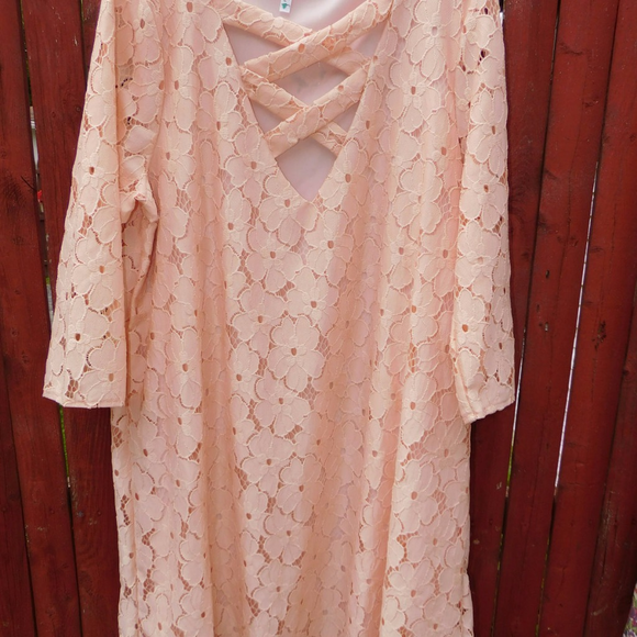 Peach Plus Size Dress - Picture 3 of 3