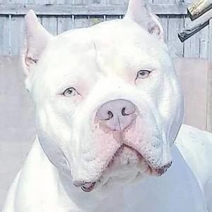 Meet your Posher, Zena