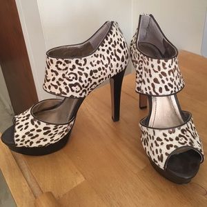 Leopard heals bcbg