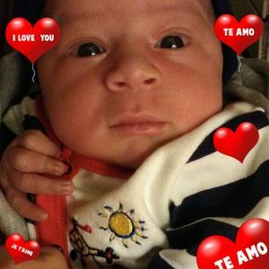 Meet your Posher, Wanda