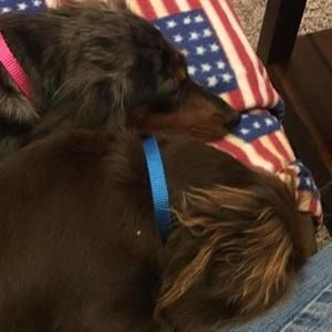 Meet your Posher, Jaye