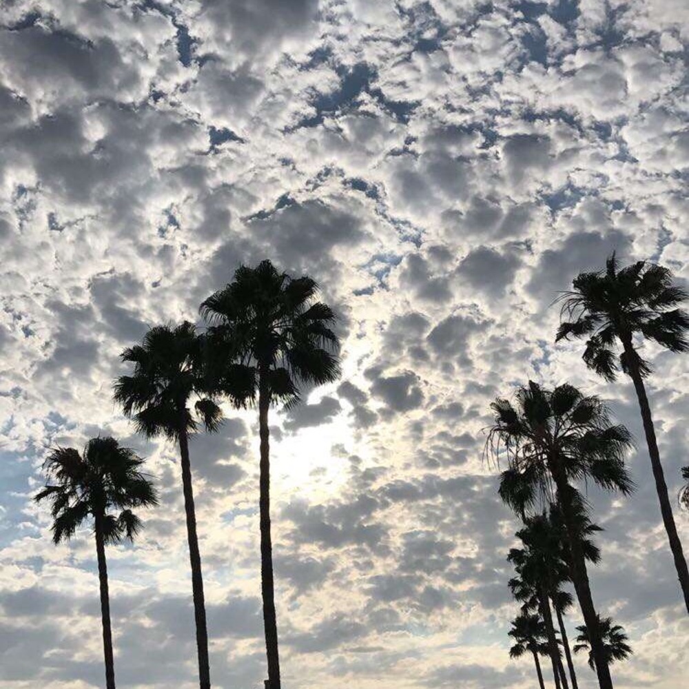 Meet your Posher, Fatima