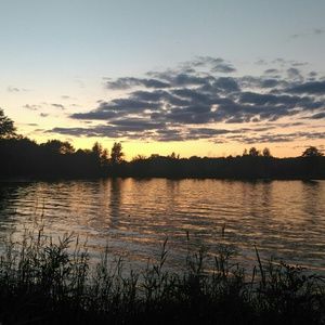 Meet your Posher, Lacey