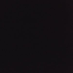 Meet your Posher, Ernesto