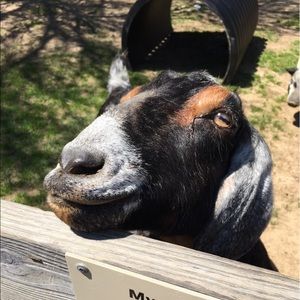 Meet your Posher, Denise