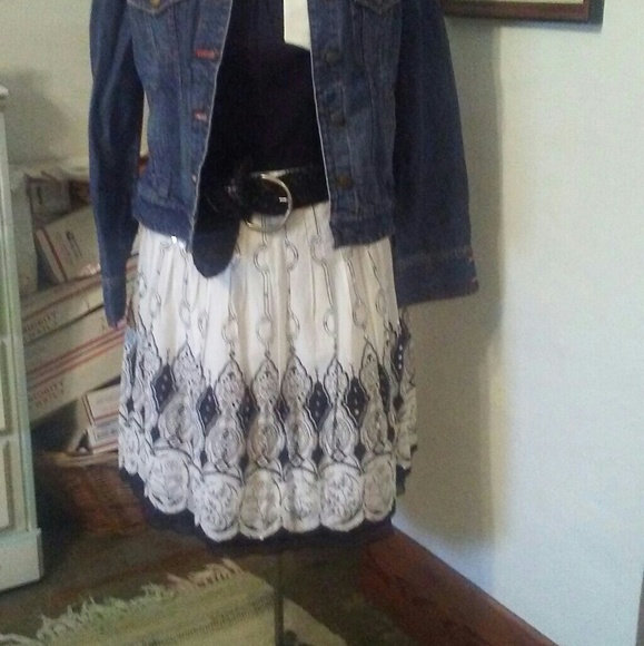 The Limited Pleated A-Line Skirt - Picture 1 of 5