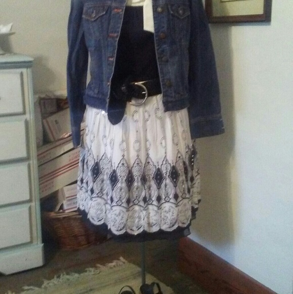 The Limited Pleated A-Line Skirt - Picture 2 of 5