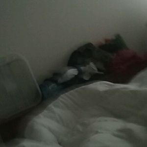 Meet your Posher, William