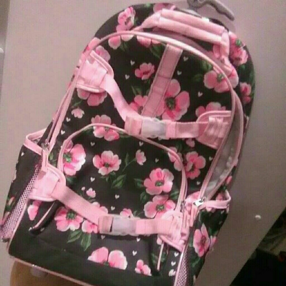 Pottery barn rolling back pack