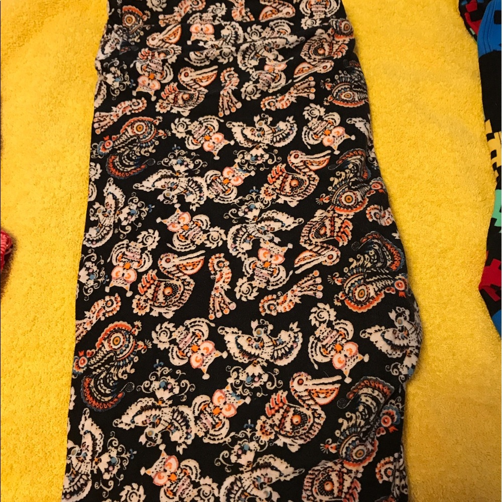 LLR "birds" tc