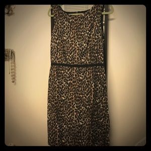 Leopard print work dress from Loft, size 12
