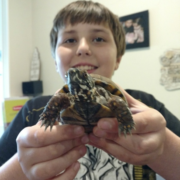 Meet your Posher, Amanda - Picture 7 of 8