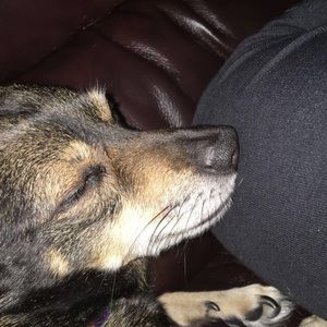 Meet your Posher, Ishika