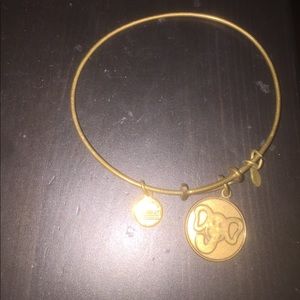 Alex and ani bracelet