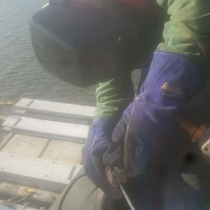 Meet your Posher, Donald