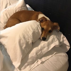 Meet your Posher, Christina