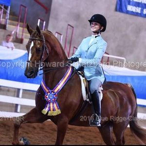 Meet your Posher, Sarah