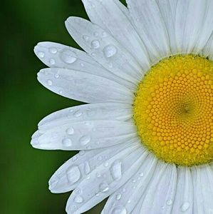 Meet your Posher, Mara