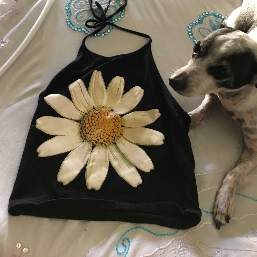 Cropped halter with 🌻🌞