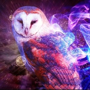 Meet your Posher, Hope