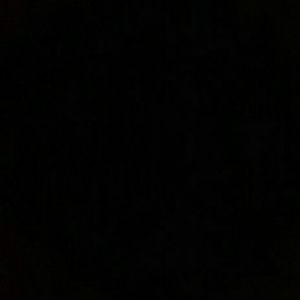 Meet your Posher, Coylynn