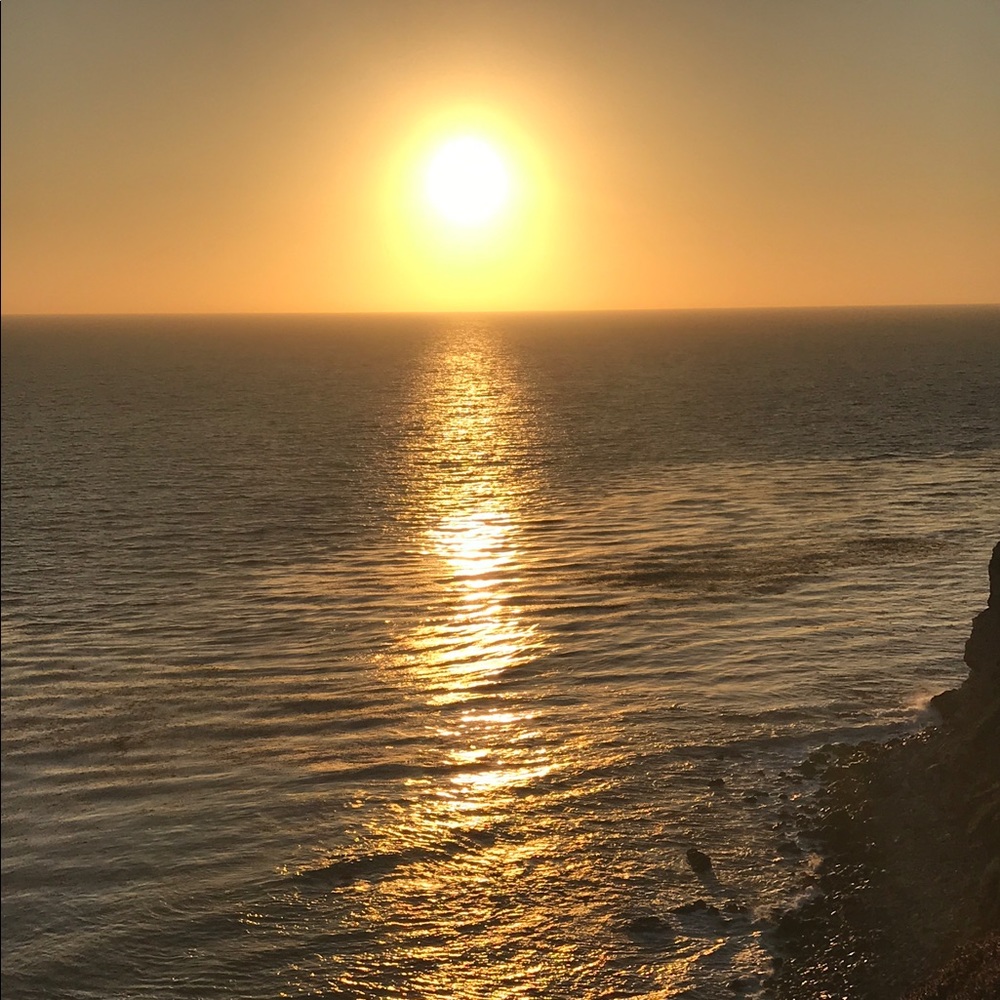 Meet your Posher, Lula Lucy!