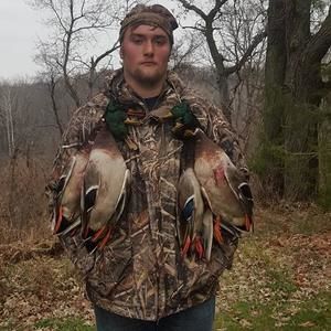 Meet your Posher, Brady