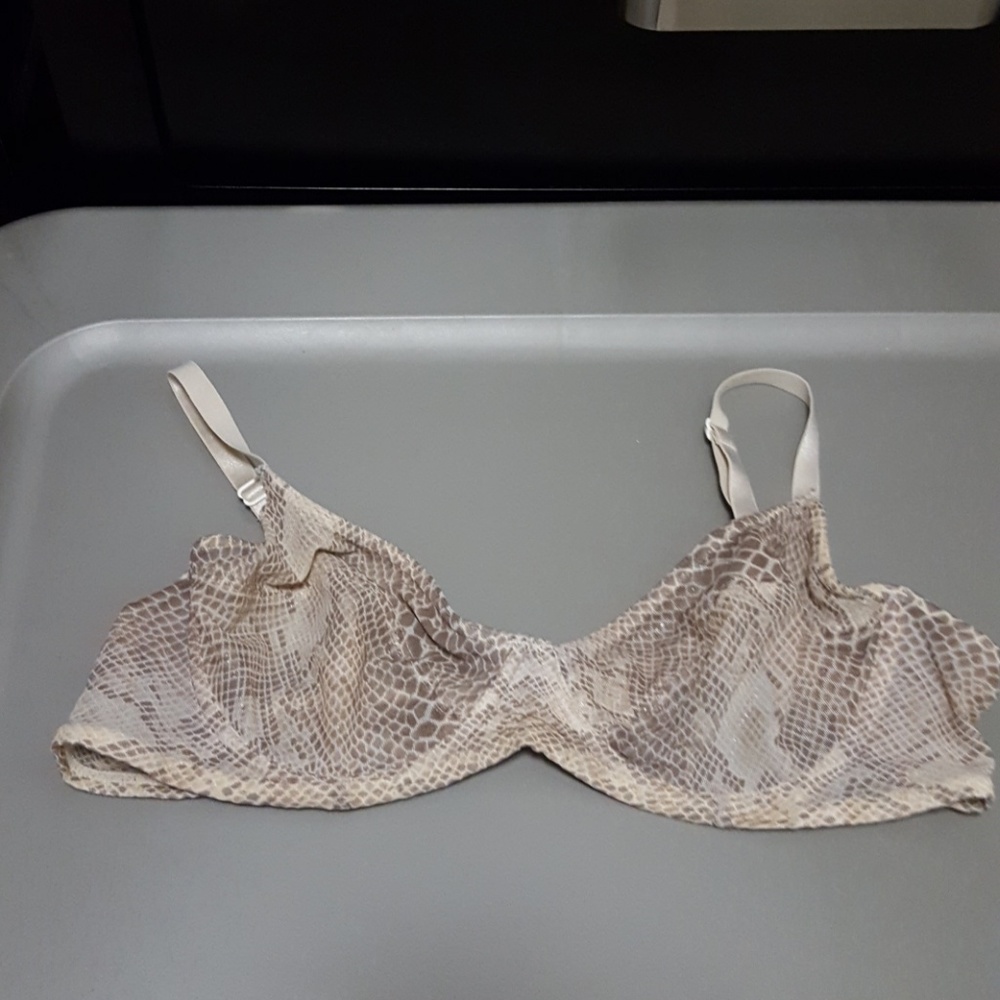 Unlined Snakeskin Print Bra by Express (36B)