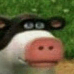 Meet your Posher, Reese