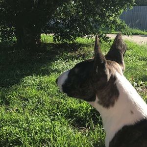 Meet your Posher, Alina