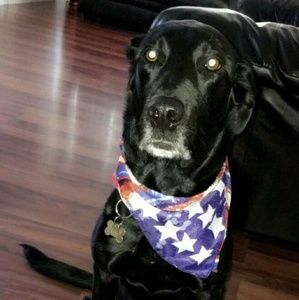 Meet your Posher, Desiree