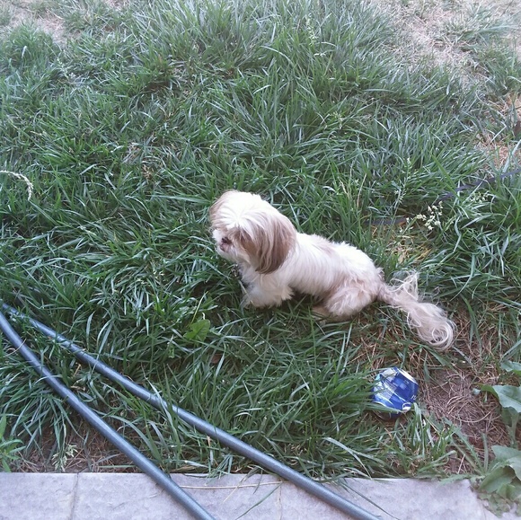 Meet your Posher, Angie - Picture 3 of 4