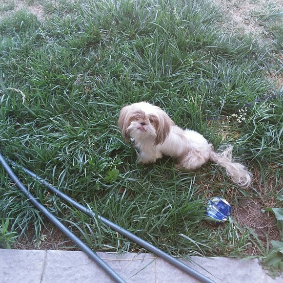 Meet your Posher, Angie - Picture 4 of 4