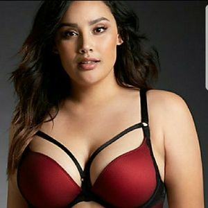 Torrid fishnet and lace plunge bra