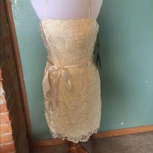 NWT size 8 short wedding dress