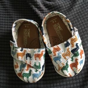 Toddler toms llamas