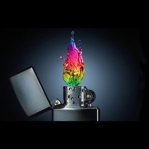 Meet your Posher, Jake