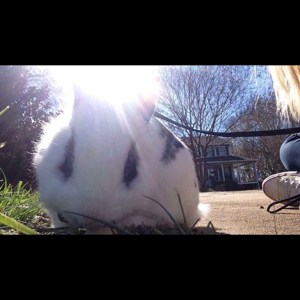 Meet your Posher, Immy