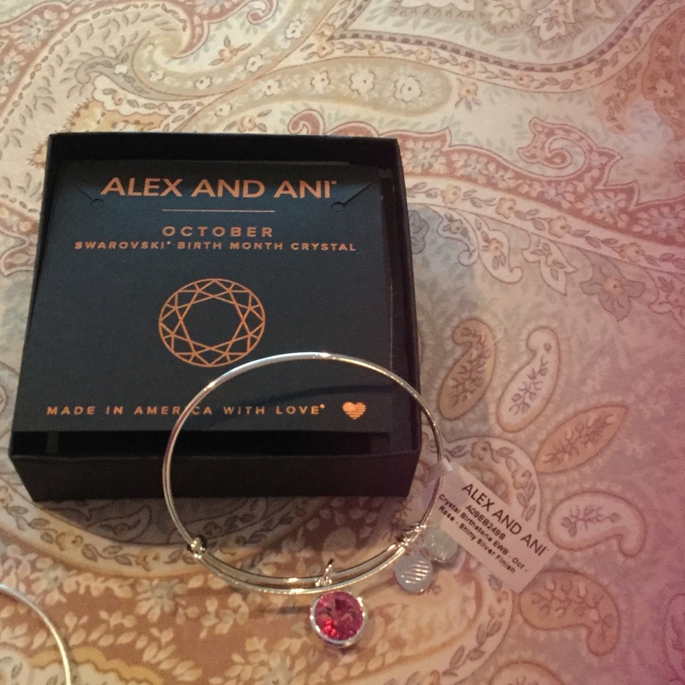 ALEX and ANI