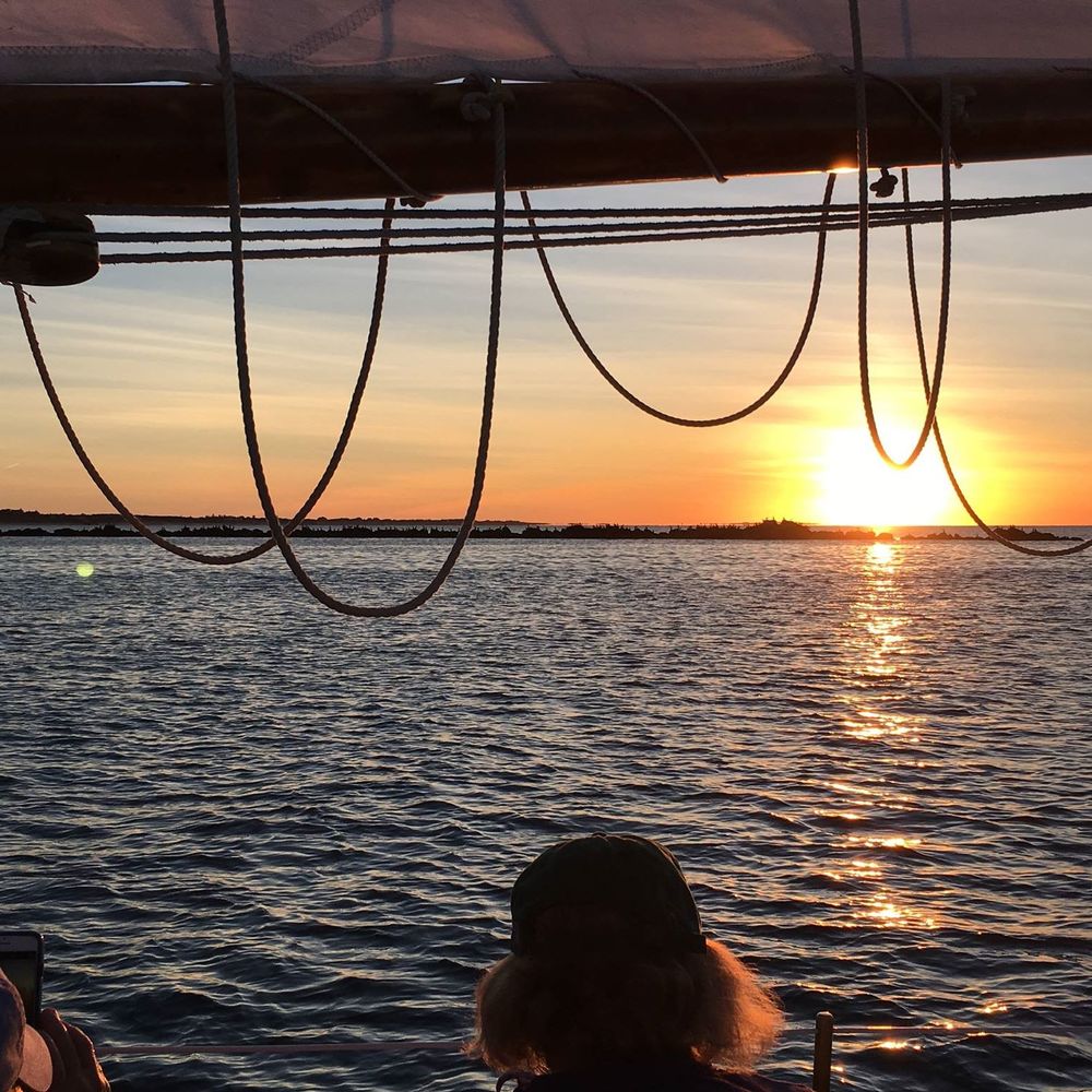 Meet your Posher, Carol