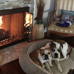 Meet your Posher, Tami