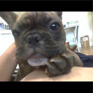 Meet your Posher, Emma