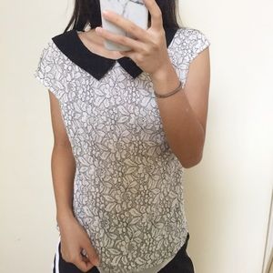 Express Collared Lace Blouse