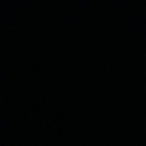 Meet your Posher, Brayden