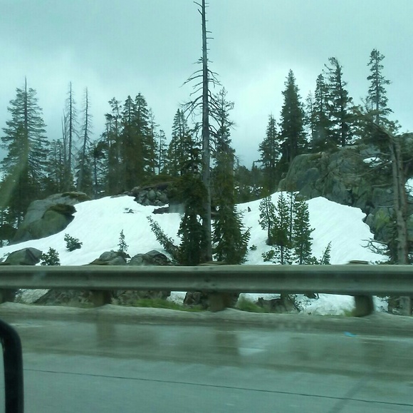 Meet your Posher, Savannah - Picture 1 of 1