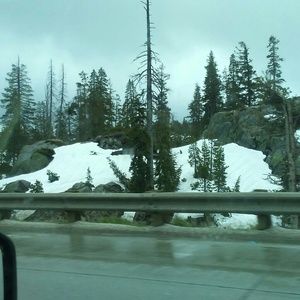 Meet your Posher, Savannah