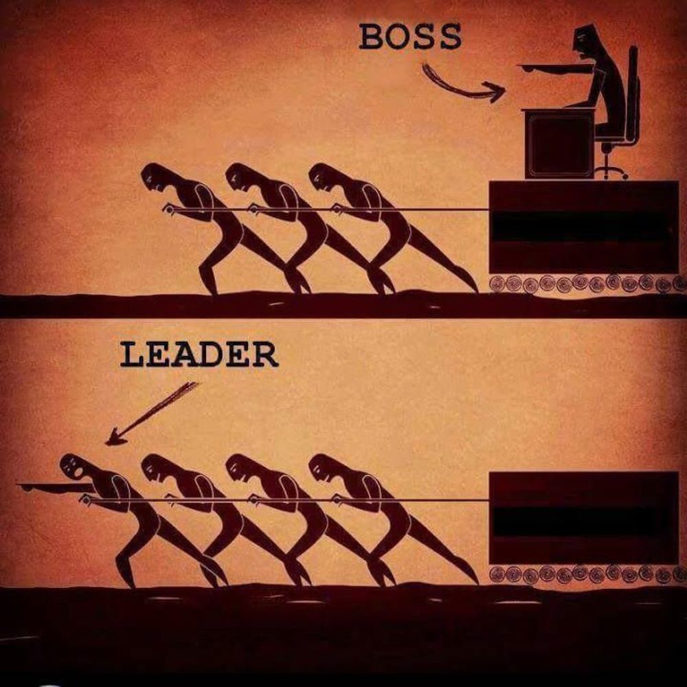 Meet your Posher, Maurice