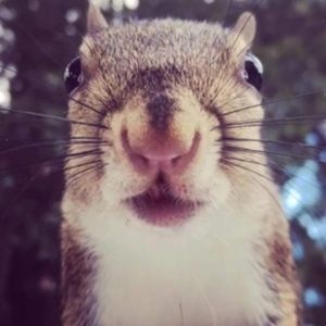 Meet your Posher, Toni